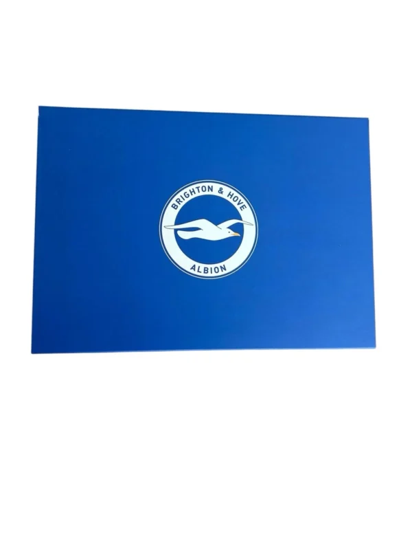 Brighton & Hove Albion Training Shirt WORN By Joel Veltman *RARE* OFFICIAL!