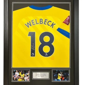 Danny Welbeck Brighton Signed Shirt Framed *PLAYER ISSUED* *RARE* CLUB COA