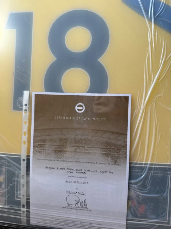 Danny Welbeck Brighton Signed Shirt Framed *PLAYER ISSUED* *RARE* CLUB COA